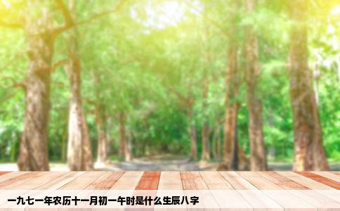 一九七一年农历十一月初一午时是什么生辰八字