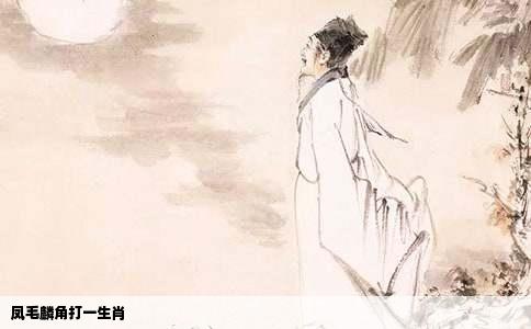 凤毛麟角打一生肖