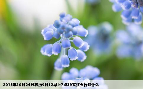 2015年10月24日农历9月12早上7点39女孩五行缺什么