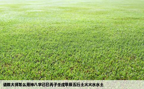 请教大师怎么用神八字己巳丙子壬戌甲辰五行土火火水水土