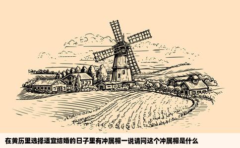 在黄历里选择适宜结婚的日子里有冲属相一说请问这个冲属相是什么