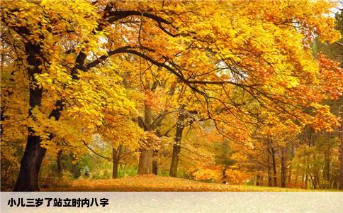 小儿三岁了站立时内八字