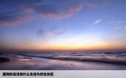 属狗的应该找什么生肖为终生伴侣
