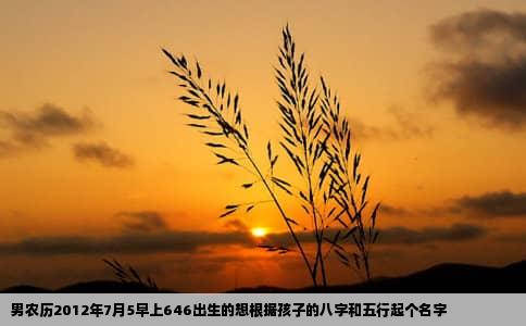 男农历2012年7月5早上646出生的想根据孩子的八字和五行起个名字