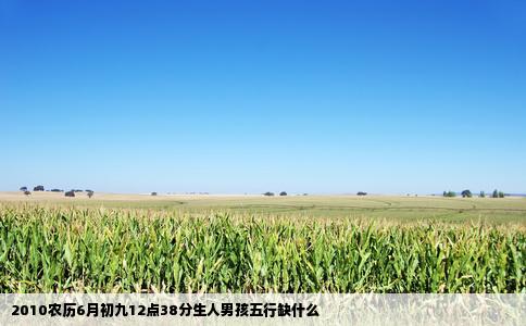 2010农历6月初九12点38分生人男孩五行缺什么