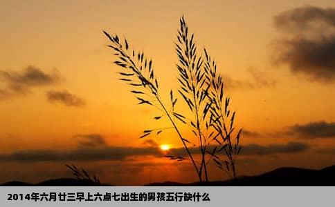 2014年六月廿三早上六点七出生的男孩五行缺什么