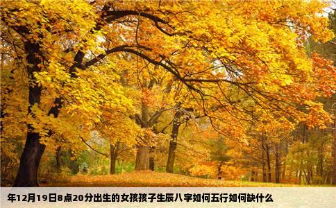 年12月19日8点20分出生的女孩孩子生辰八字如何五行如何缺什么