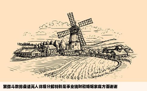 紫微斗数排盘请高人详细分解特别是事业钱财和婚姻家庭方面谢谢
