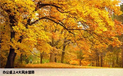 办公桌上4大风水禁忌