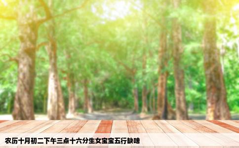 农历十月初二下午三点十六分生女宝宝五行缺啥