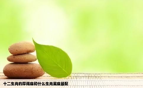 十二生肖的摩羯座和什么生肖星座最配