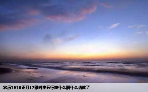 农历1978正月17卯时生五行缺什么属什么请教了