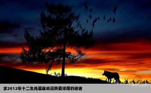 求2012年十二生肖星座总运势要详细的谢谢