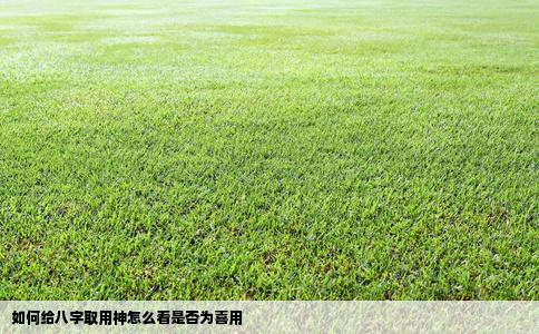 如何给八字取用神怎么看是否为喜用