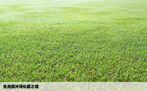 生肖相冲寻化解之道