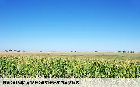 姓潘2013年1月18日2点51分出生的男孩起名