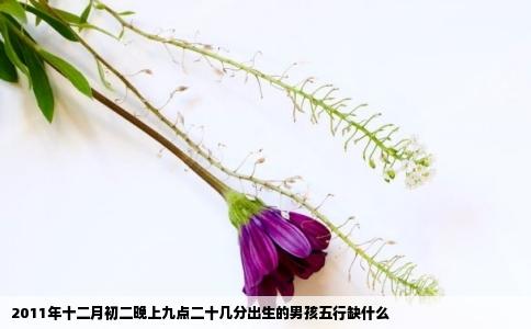 2011年十二月初二晚上九点二十几分出生的男孩五行缺什么