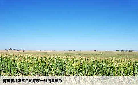 有没有八字不合的却在一起很幸福的