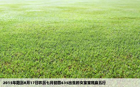 2015年阳历8月17日农历七月初四635出生的女宝宝姓麻五行