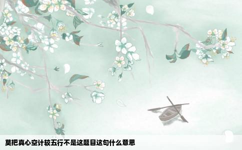 莫把真心空计较五行不是这题目这句什么意思