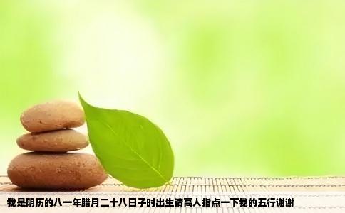 我是阴历的八一年腊月二十八日子时出生请高人指点一下我的五行谢谢