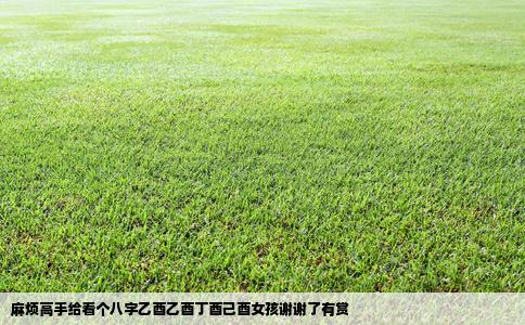 麻烦高手给看个八字乙酉乙酉丁酉己酉女孩谢谢了有赏