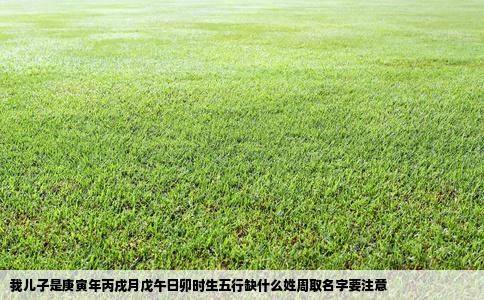 我儿子是庚寅年丙戌月戊午日卯时生五行缺什么姓周取名字要注意
