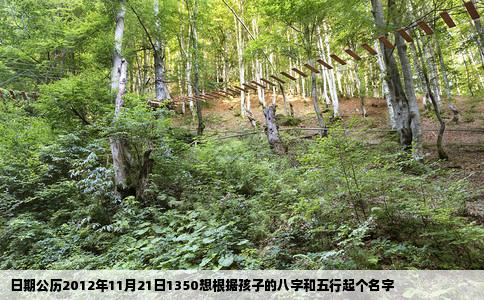 日期公历2012年11月21日1350想根据孩子的八字和五行起个名字