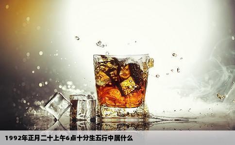 1992年正月二十上午6点十分生五行中属什么