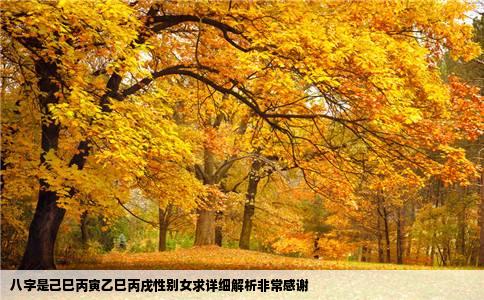 八字是己巳丙寅乙巳丙戌性别女求详细解析非常感谢