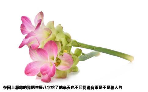 在网上算命的我把生辰八字给了他半天也不回我说有事是不是骗人的