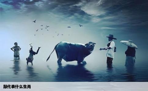 敲代表什么生肖