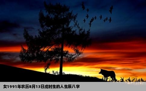 女1991年农历8月13日戌时生的人生辰八字