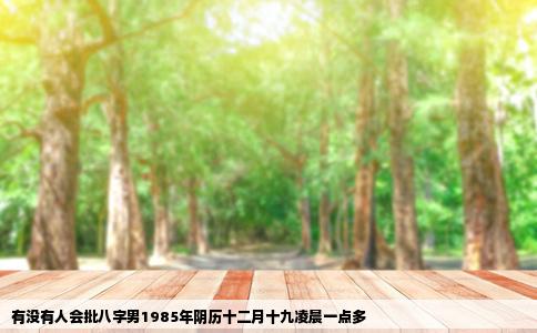 有没有人会批八字男1985年阴历十二月十九凌晨一点多