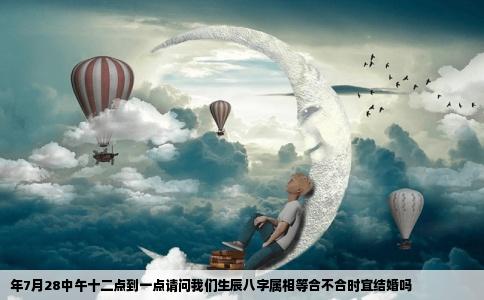 年7月28中午十二点到一点请问我们生辰八字属相等合不合时宜结婚吗