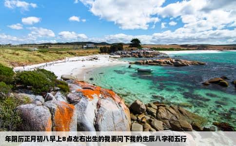 年阴历正月初八早上8点左右出生的我要问下我的生辰八字和五行