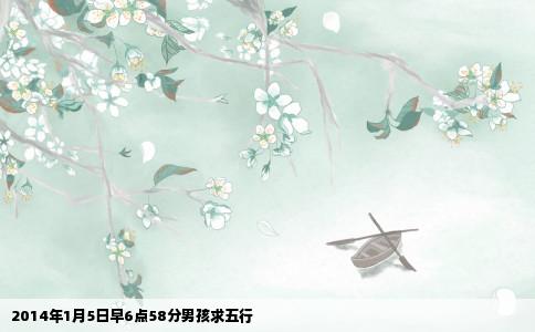 2014年1月5日早6点58分男孩求五行