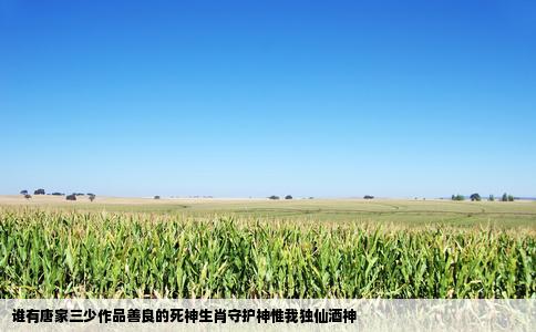 谁有唐家三少作品善良的死神生肖守护神惟我独仙酒神