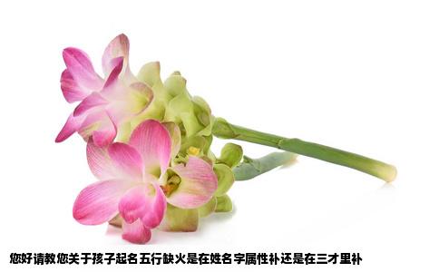 您好请教您关于孩子起名五行缺火是在姓名字属性补还是在三才里补