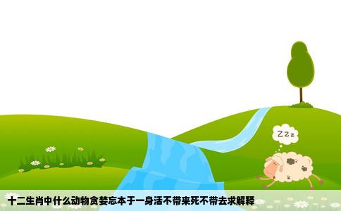 十二生肖中什么动物贪婪忘本于一身活不带来死不带去求解释