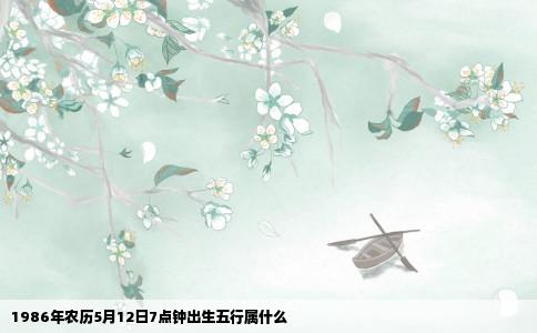 1986年农历5月12日7点钟出生五行属什么