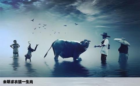 未明求衣猜一生肖