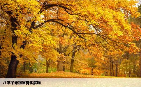 八字子未相害有化解吗