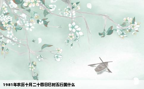 1981年农历十月二十四日巳时五行属什么