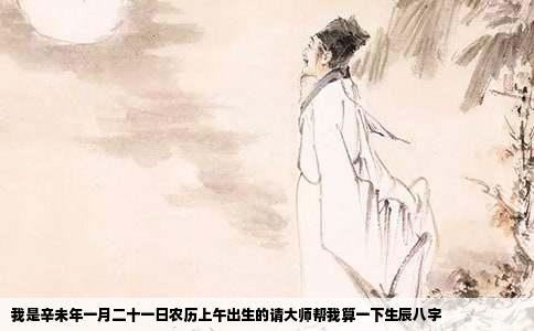 我是辛未年一月二十一日农历上午出生的请大师帮我算一下生辰八字
