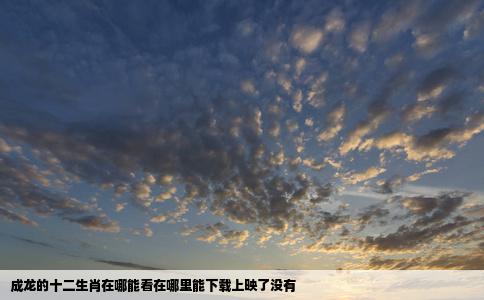 成龙的十二生肖在哪能看在哪里能下载上映了没有