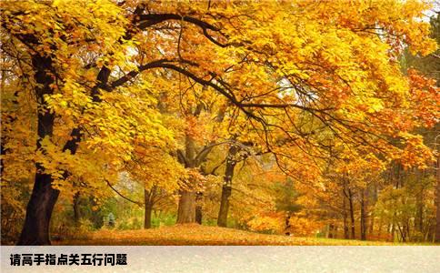 请高手指点关五行问题