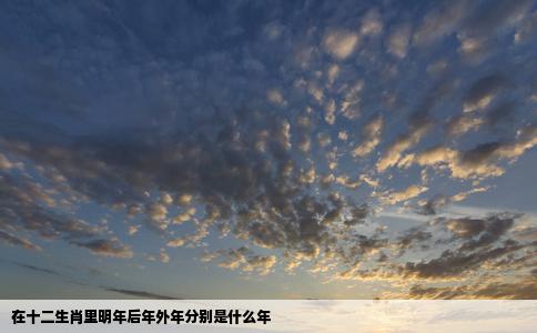 在十二生肖里明年后年外年分别是什么年