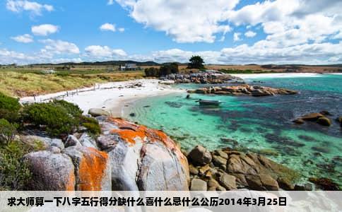 求大师算一下八字五行得分缺什么喜什么忌什么公历2014年3月25日