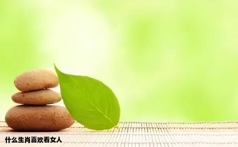 什么生肖喜欢看女人
